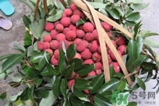 桂味和糯米糍哪個好吃？桂味荔枝和糯米糍荔枝區(qū)別