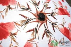 Kobold是假洋品牌么？Kobold是什么牌子是德國的嗎？