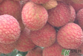 黑葉荔枝和白糖罌哪個(gè)好吃？黑葉荔枝和白糖罌區(qū)別