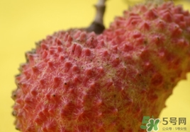 桂味荔枝多少錢一斤2017？桂味荔枝價格