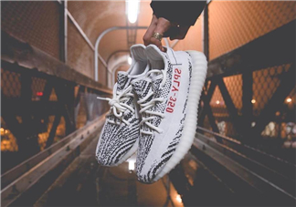 adidas yeezy 350 v2 boost zebra白斑馬多少錢？