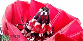 knirps是什么牌子？knirps太陽(yáng)傘怎么樣？