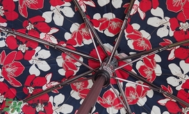 knirps是什么牌子？knirps太陽(yáng)傘怎么樣？