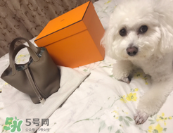 菜籃子包是什么牌子？菜籃子包是哪個品牌的？