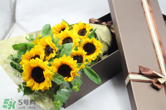 父親節(jié)可以送向日葵嗎？父親節(jié)送向日葵好嗎？
