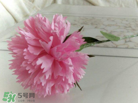 父親節(jié)可以送康乃馨嗎？父親節(jié)送康乃馨好不好？