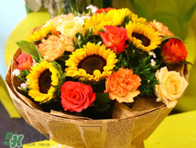 2017向日葵多少錢(qián)一朵？向日葵多少錢(qián)一支2017？