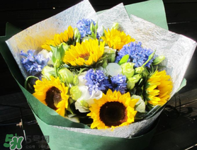 2017向日葵多少錢(qián)一朵？向日葵多少錢(qián)一支2017？