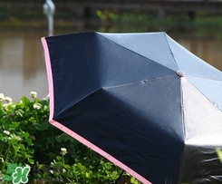 fasola是什么品牌？fasola太陽(yáng)傘怎么樣？