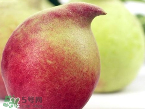 鷹嘴桃種植應(yīng)注意哪些？鷹嘴桃什么時(shí)間修剪