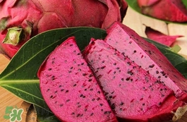 紅心火龍果為什么貴？紅心火龍果為什么比白心的貴？