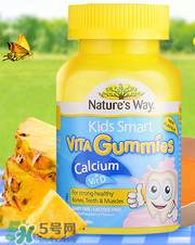 Nature's Way好嗎 Nature's Way保健品怎么樣？