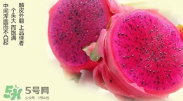 如何識(shí)別紅心火龍果？紅心火龍果怎么分辨