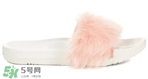 ugg royale小毛王拖鞋有哪幾種顏色？ugg小毛王拖鞋顏色有幾款？