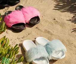 ugg royale小毛王拖鞋有哪幾種顏色？ugg小毛王拖鞋顏色有幾款？