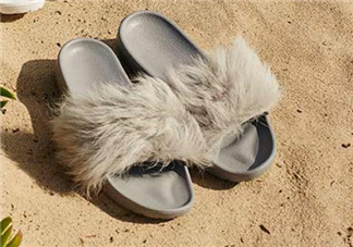 ugg royale小毛王拖鞋有哪幾種顏色？ugg小毛王拖鞋顏色有幾款？