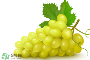 葡萄多少錢一斤？葡萄多少錢一斤2017？