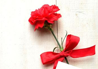 父親節(jié)可以送康乃馨嗎？父親節(jié)送康乃馨好不好？
