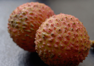 桂味荔枝和妃子笑哪個(gè)好吃？桂味荔枝和妃子笑區(qū)別