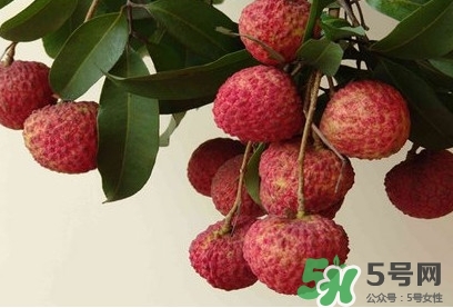 糯米糍荔枝多少錢一斤2017？糯米糍荔枝市場價(jià)格