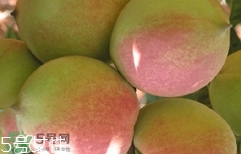 鷹嘴桃種植應(yīng)注意哪些？鷹嘴桃什么時(shí)間修剪