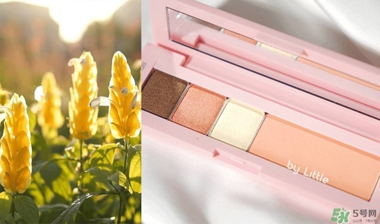 多色眼影畫法 多色眼影盤怎么用 多色眼影畫法 多色眼影盤怎么用