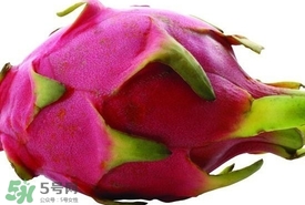 火龍果怎么保存時間長？切開的火龍果怎么保存