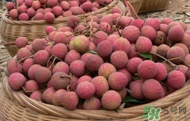 黑葉荔枝和白糖罌哪個(gè)好吃？黑葉荔枝和白糖罌區(qū)別