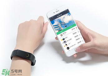 拉卡拉手環(huán)多少錢？拉卡拉手環(huán)價格