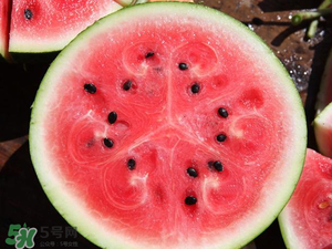 8424西瓜多少錢一斤 8424西瓜價(jià)格