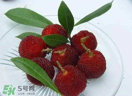 吃楊梅要洗嗎？楊梅要不要洗？