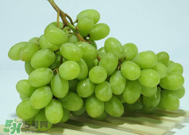 青提是涼性還是熱性？青提是酸性還是堿性？