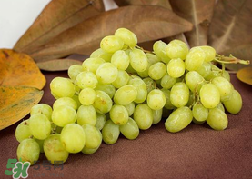 青提是涼性還是熱性？青提是酸性還是堿性？