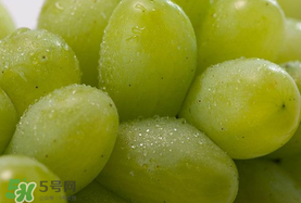 青提孕婦可以吃嗎？孕婦可以吃青提子嗎？