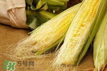 玉米須水什么人不能喝？玉米須煮水小孩能喝嗎？