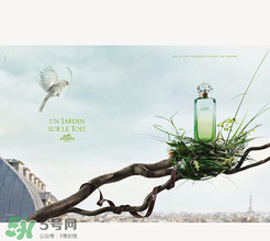 尼羅河花園適合什么人？尼羅河花園適合少女嗎？