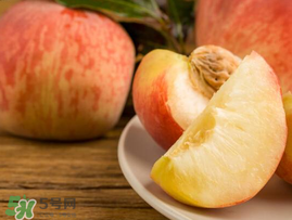 水蜜桃和牛奶可以一起吃嗎？牛奶和水蜜桃可以同時吃嗎？