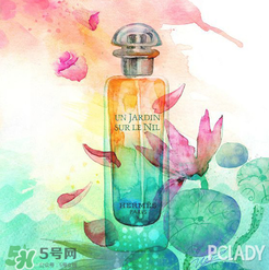 尼羅河花園適合什么人？尼羅河花園適合少女嗎？