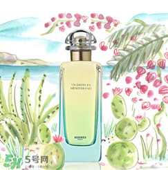 尼羅河花園適合什么人？尼羅河花園適合少女嗎？