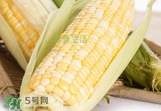 水果玉米多少錢一斤2017？水果玉米市場價格