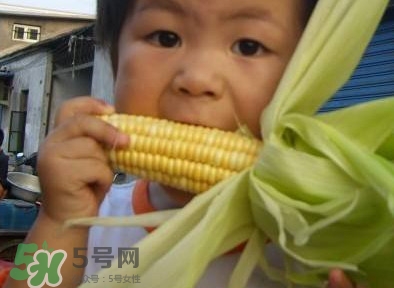 水果玉米是甜玉米嗎？水果玉米和甜玉米的區(qū)別