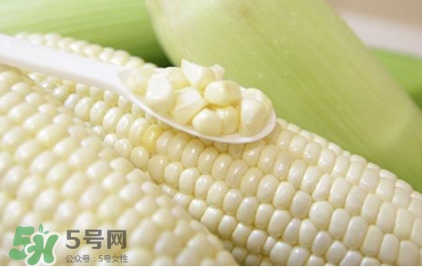 糯玉米是轉(zhuǎn)基因嗎？糯玉米是不是轉(zhuǎn)基因