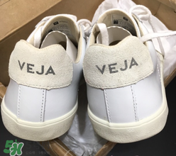 veja鞋碼偏大嗎？veja鞋子鞋碼準嗎？