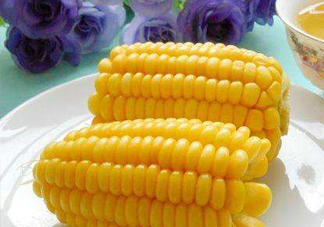 水果玉米和普通玉米有什么區(qū)別？水果玉米產(chǎn)地是哪里