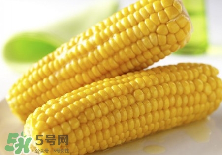 新鮮水果玉米怎么保存？水果玉米怎么儲存