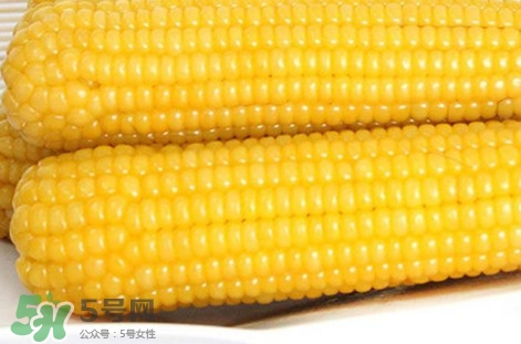 糯玉米是轉(zhuǎn)基因嗎？糯玉米是不是轉(zhuǎn)基因