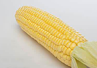 水果玉米熱量高嗎？一根水果玉米的熱量是多少