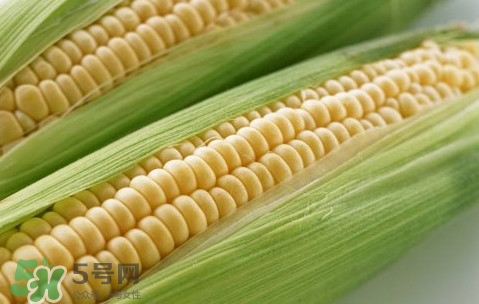 水果玉米熱量高嗎？一根水果玉米的熱量是多少