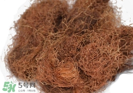 玉米須怎樣保存？玉米須可以曬干保存嗎？