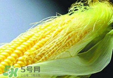 玉米須怎么吃降血糖？玉米須如何降血糖